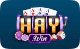 HAYWIN